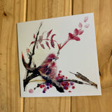 Greeting Cards