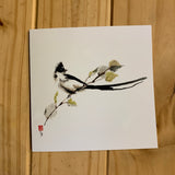 Greeting Cards