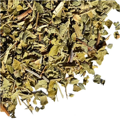 Verveine citronnée